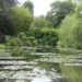 Giverny: Monet e i suoi giardini