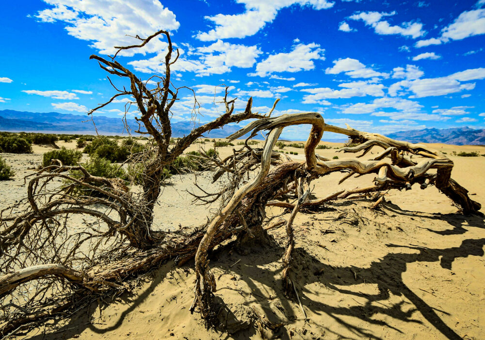 Cosa vedere alla death valley