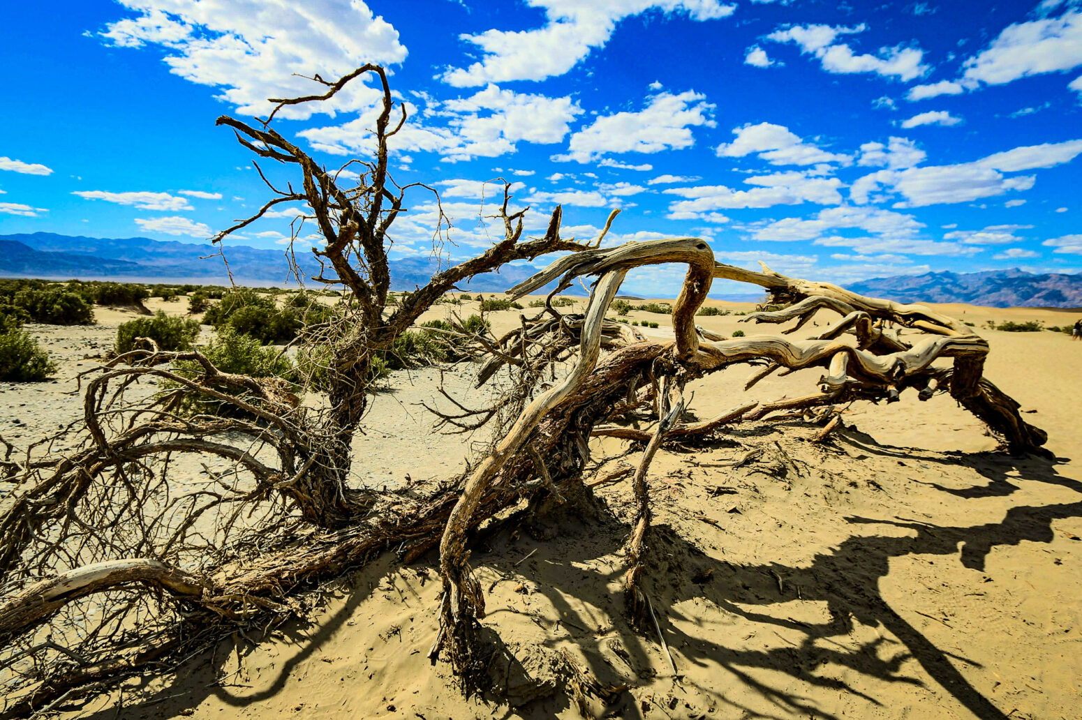 Cosa vedere alla death valley