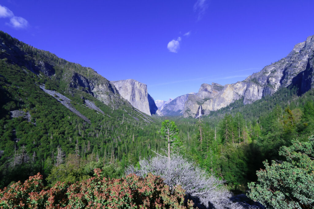 Tunnel view