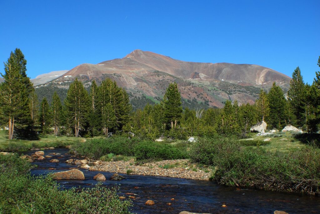 Tuolumne Meadows