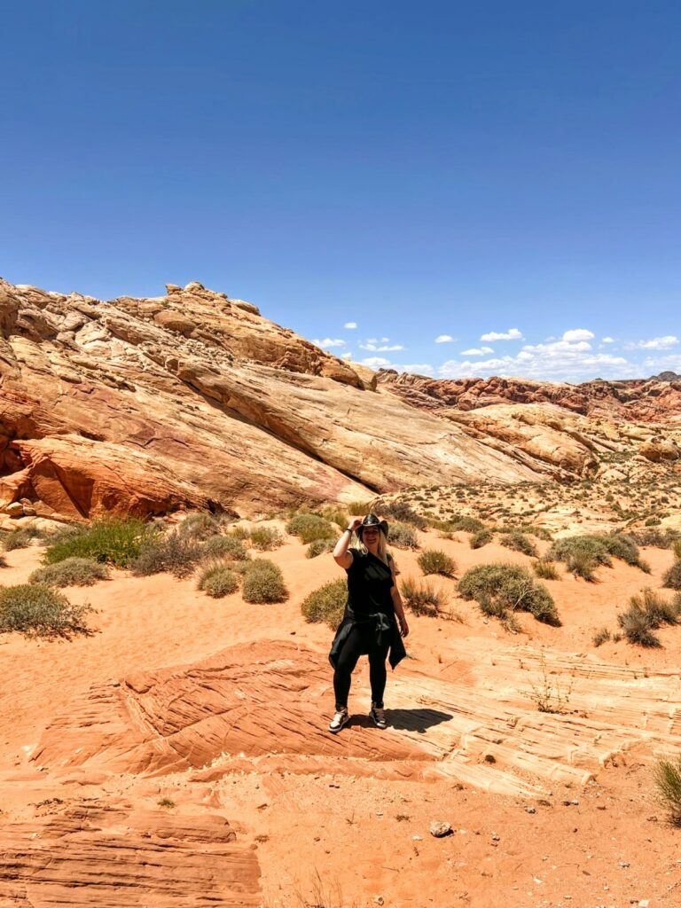 Cosa vedere alla Valley of Fire.